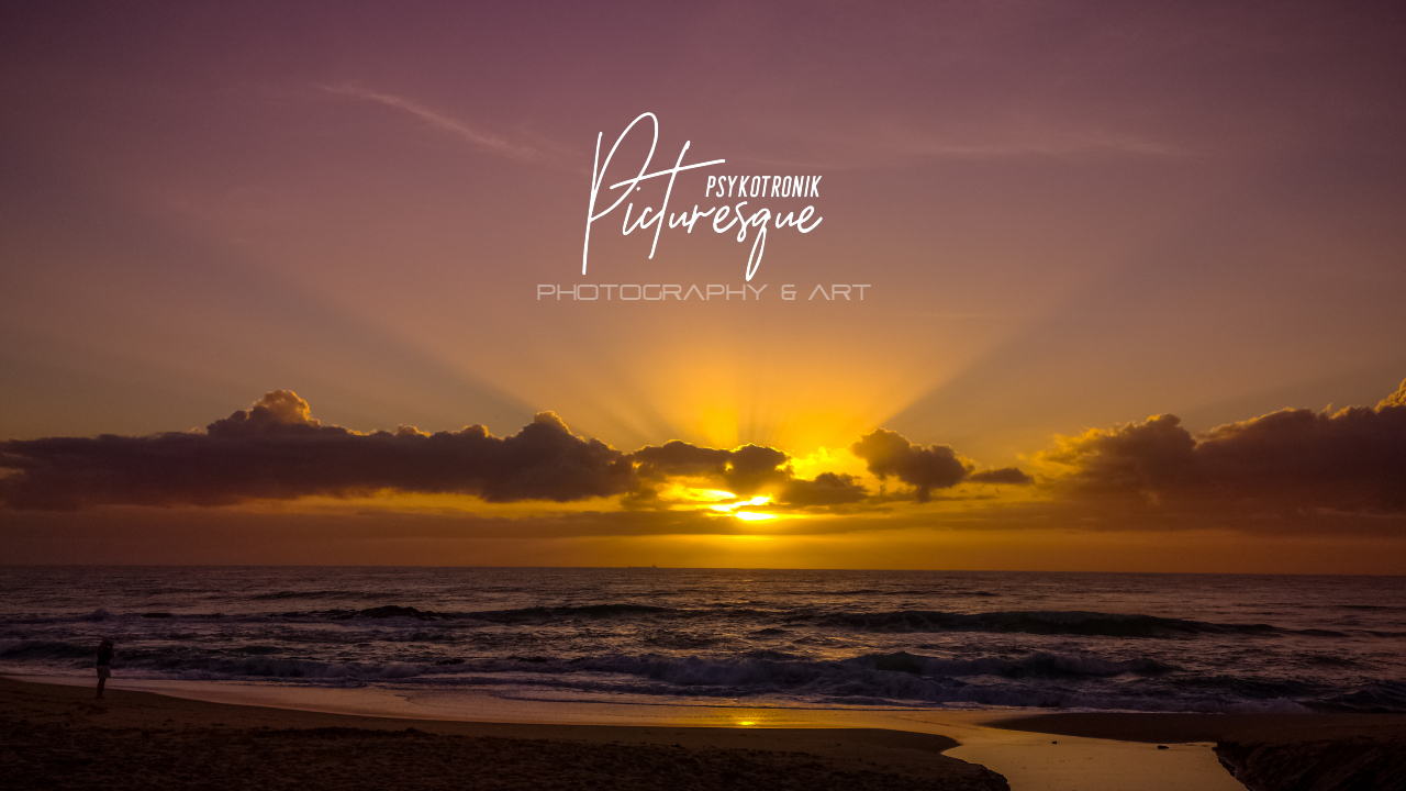 PsykoTroniK Picturesque